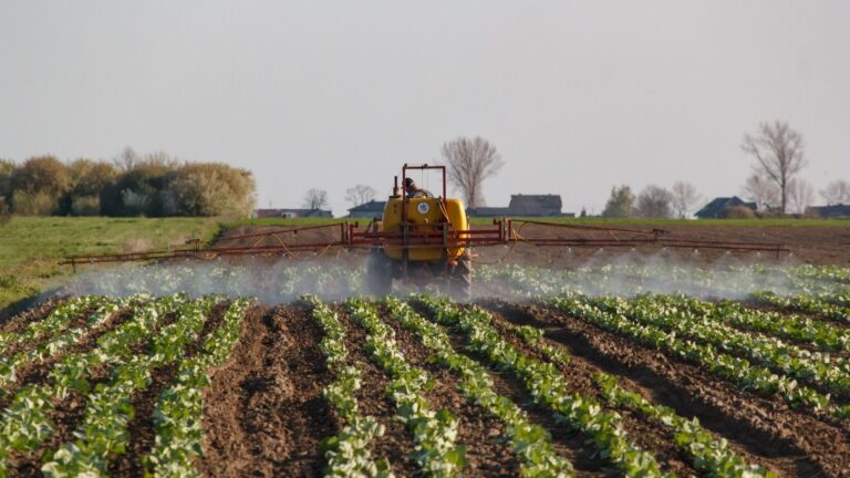 Irrorazione prodotti fitosanitari in campo verde con uso del trattore