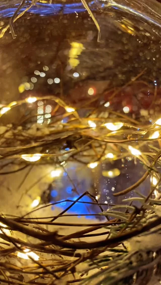 🛍️🔮🎅🏼🎄🎁🥳💥🤩
•
@agraria_luccheseantonio