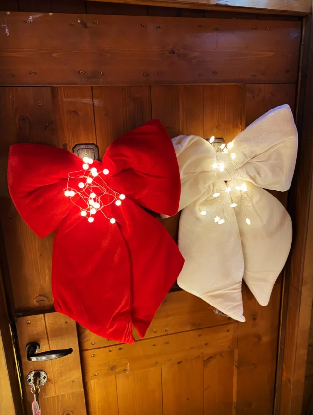 Fiocchi con il giusto tocco di luce🥰💥🎄🎀
•
@agraria_luccheseantonio