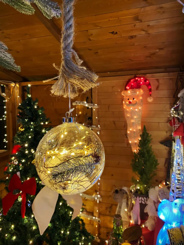 Palla di vetro decorativa🔮🎅🏼
•
@agraria_luccheseantonio